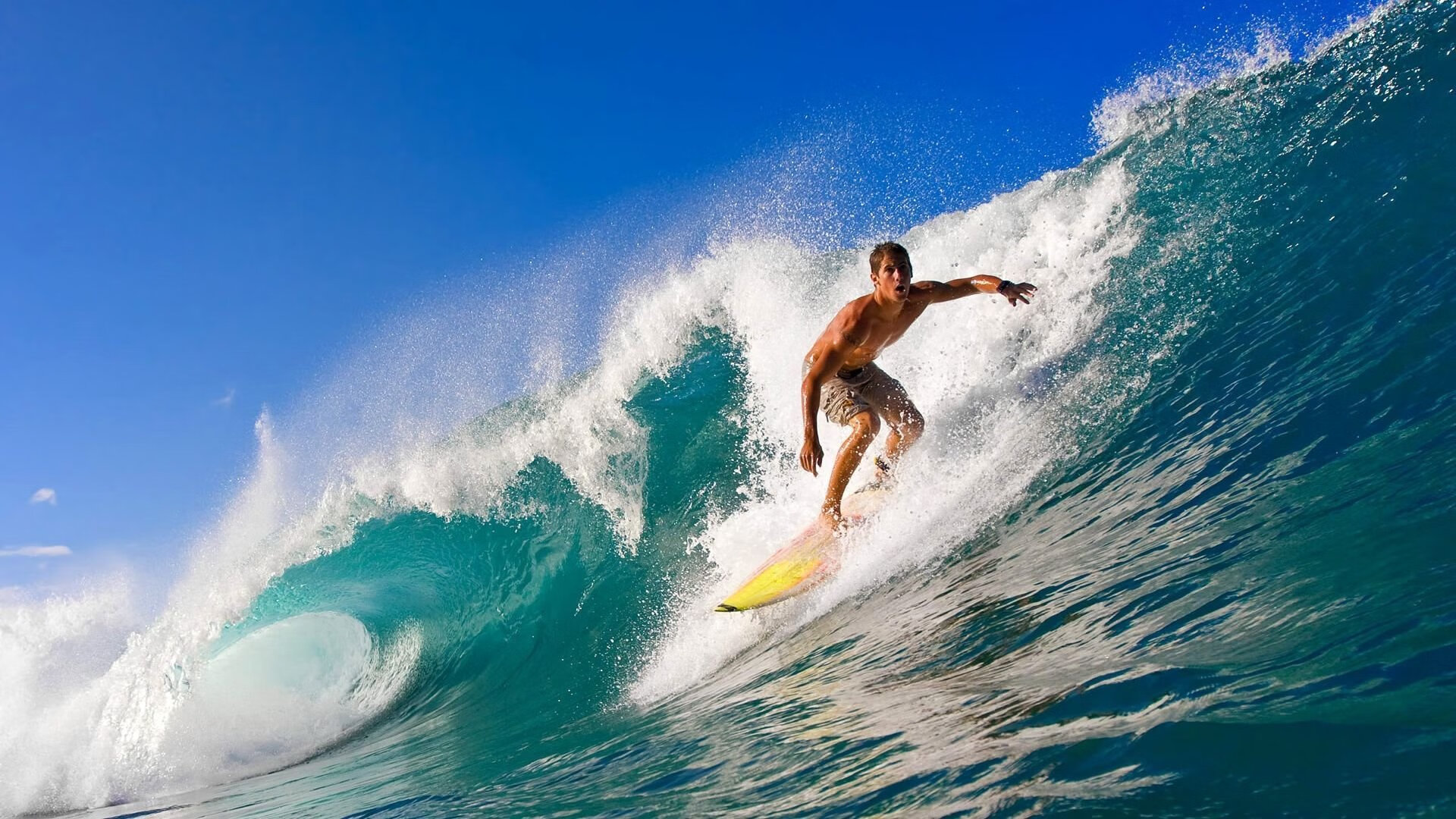 “体育公益项目路演+迷你趣味跑” 现场投票选出获资助团队