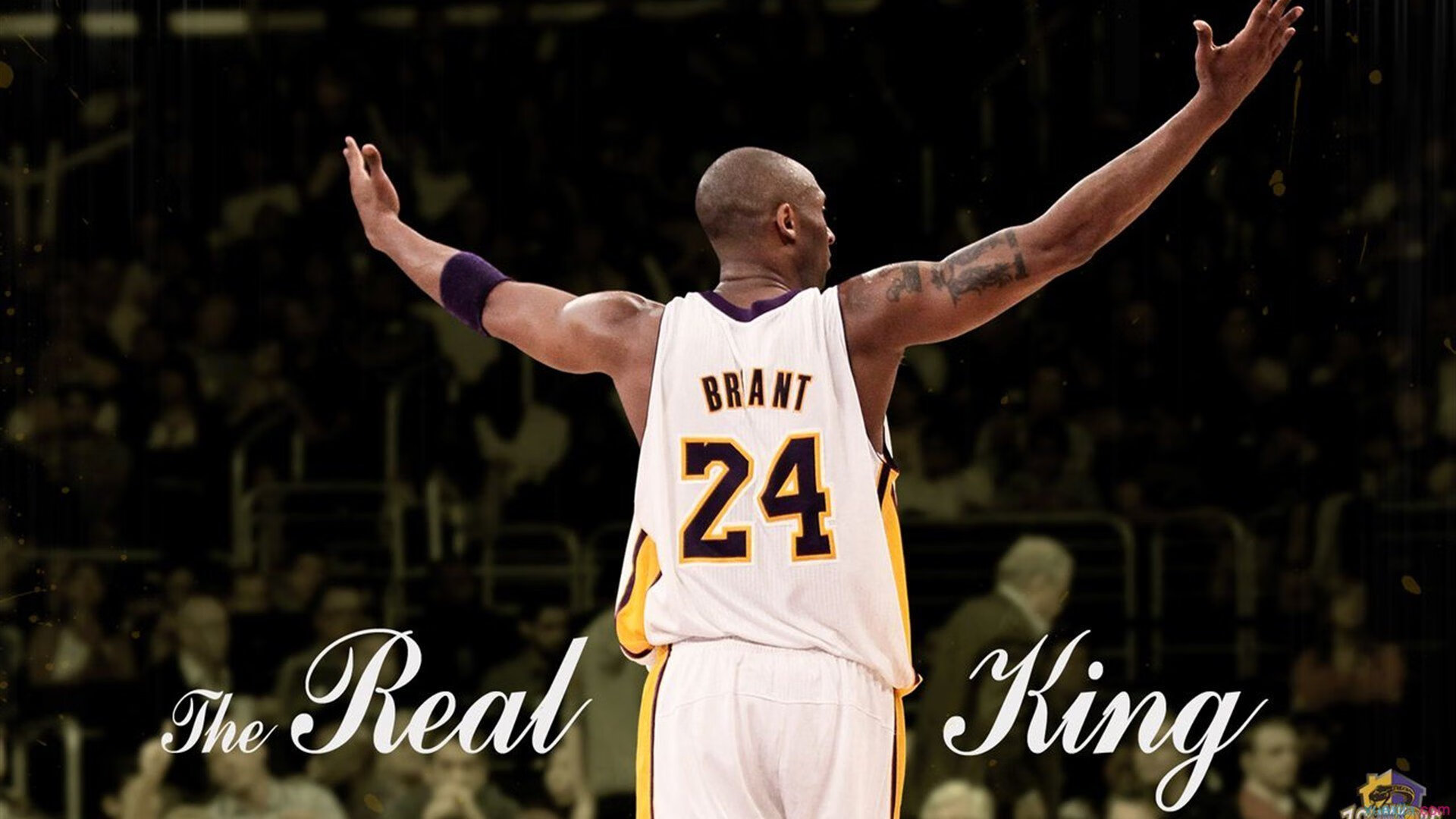 NBA全明星赛最新看点